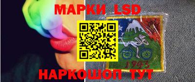 сатива Краснодар