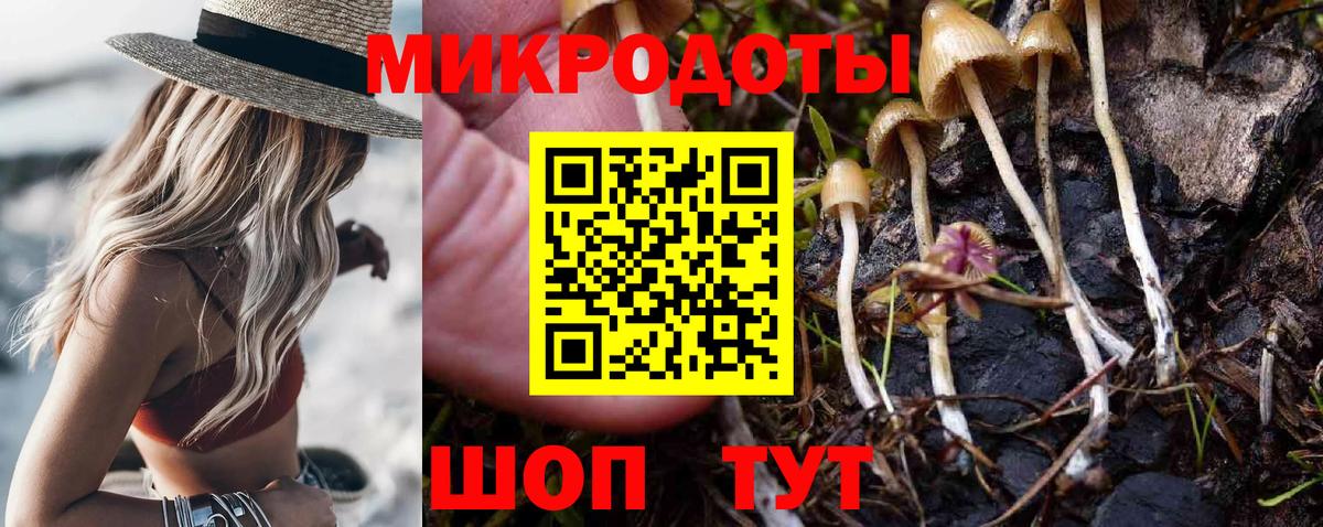 Псилоцибиновые грибы Cubensis  Вход с VPN  Тихвин 